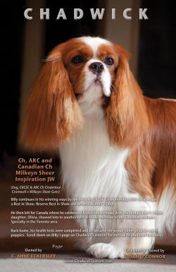 Billy ad front and some body