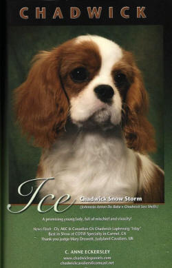 Chadwick Snow Storm ad 2010 yrbk