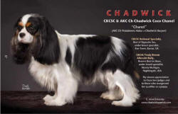 Chanel standing ad