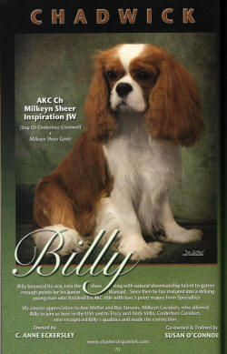 Billy ad 2010 yrbk ad