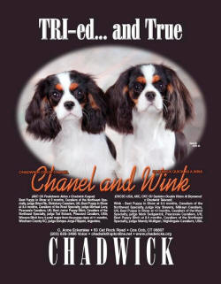 Wink and Chanel